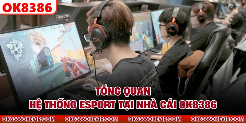 Tổng quan hệ thống Esport tại nhà cái OK8386